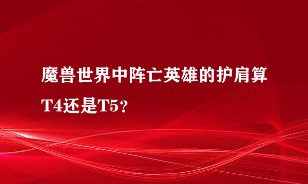 魔兽世界中阵亡英雄的护肩算T4还是T5？