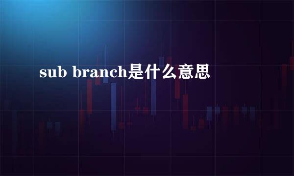 sub branch是什么意思