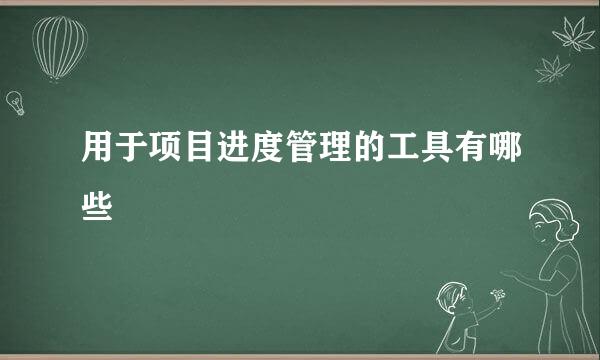 用于项目进度管理的工具有哪些