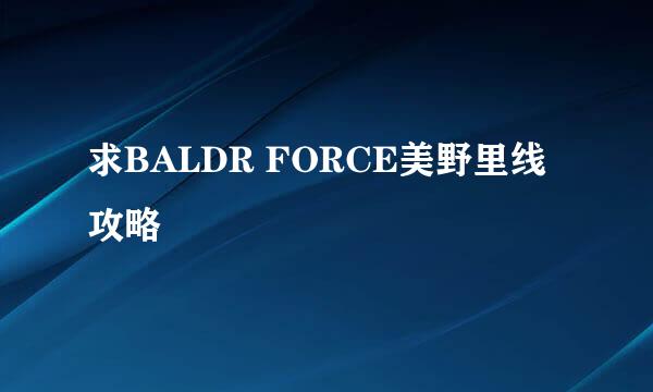 求BALDR FORCE美野里线攻略