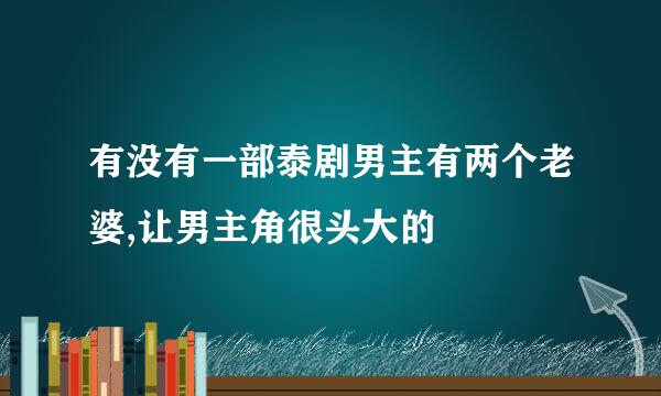 有没有一部泰剧男主有两个老婆,让男主角很头大的