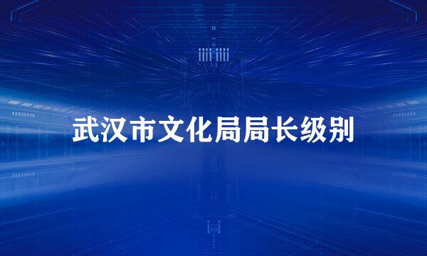 武汉市文化局局长级别