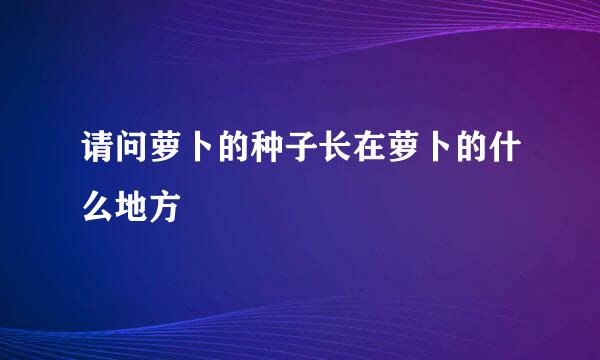 请问萝卜的种子长在萝卜的什么地方