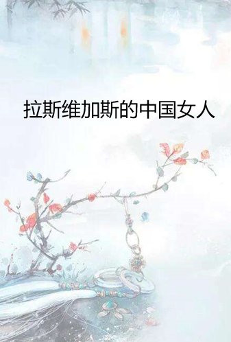 《拉斯维加斯的中国女人》txt全集下载