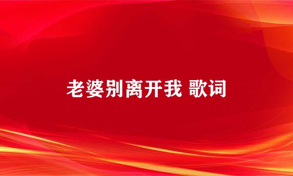 老婆别离开我 歌词