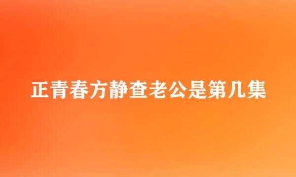 正青春方静查老公是第几集