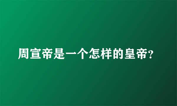 周宣帝是一个怎样的皇帝？