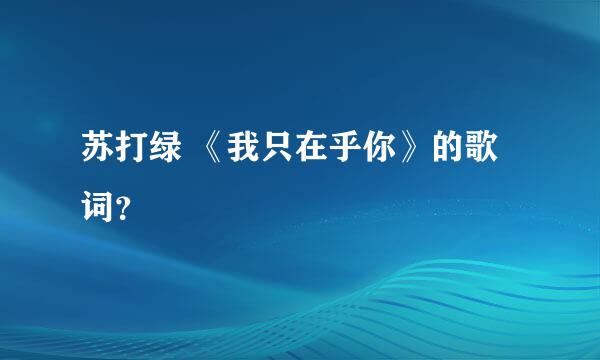 苏打绿 《我只在乎你》的歌词？