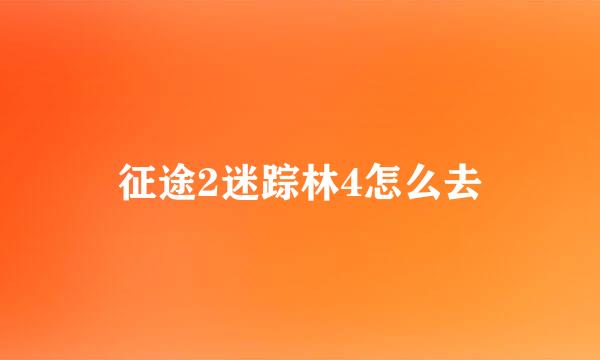 征途2迷踪林4怎么去