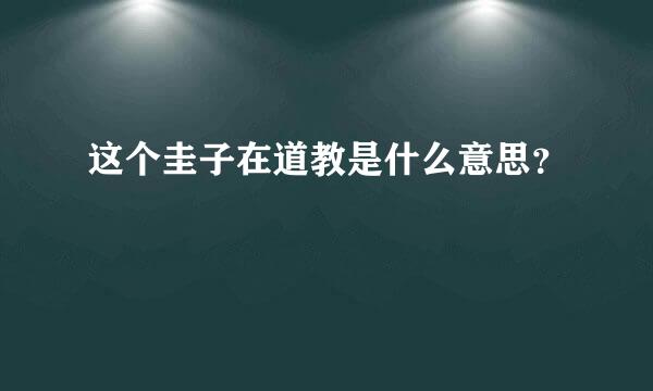 这个圭子在道教是什么意思？