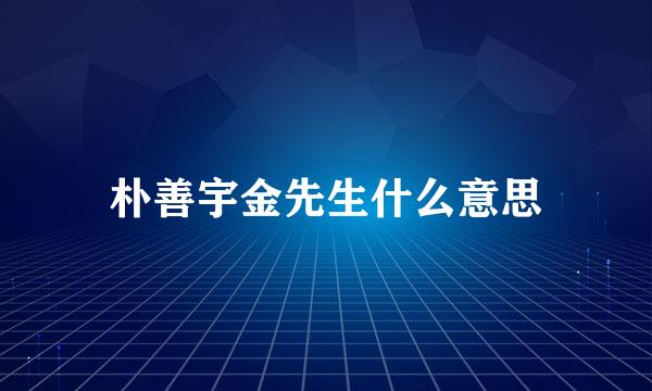 朴善宇金先生什么意思