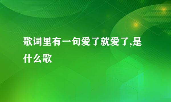 歌词里有一句爱了就爱了,是什么歌