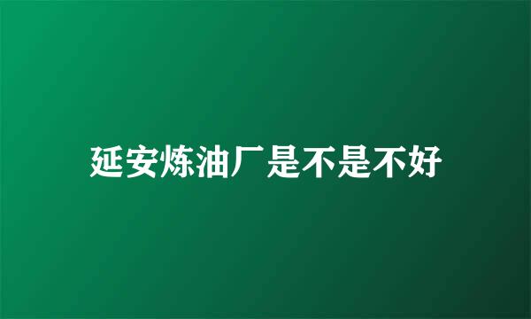 延安炼油厂是不是不好