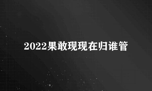 2022果敢现现在归谁管