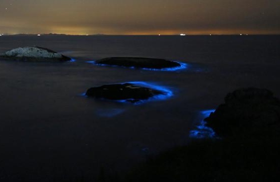 浙江北麂岛现繁星入海奇景，这个景色有多美？