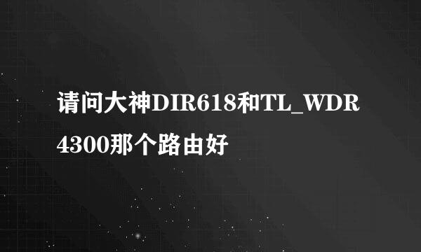 请问大神DIR618和TL_WDR4300那个路由好