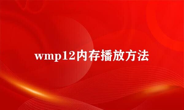 wmp12内存播放方法