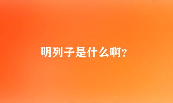 明列子是什么啊？