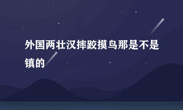 外国两壮汉摔跤摸鸟那是不是镇的