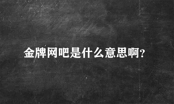 金牌网吧是什么意思啊？