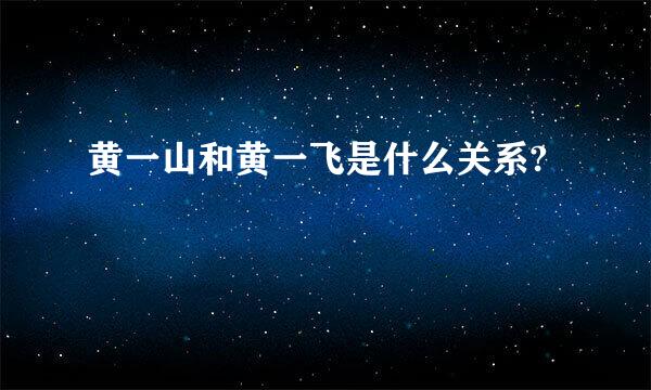 黄一山和黄一飞是什么关系?