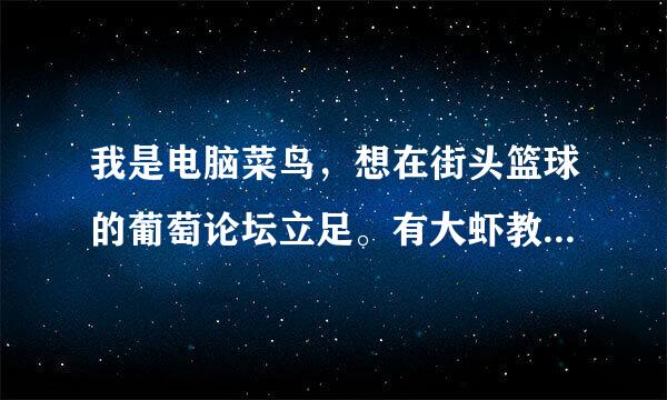 我是电脑菜鸟，想在街头篮球的葡萄论坛立足。有大虾教我电脑知识的吗？