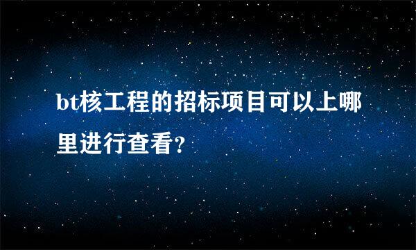 bt核工程的招标项目可以上哪里进行查看？