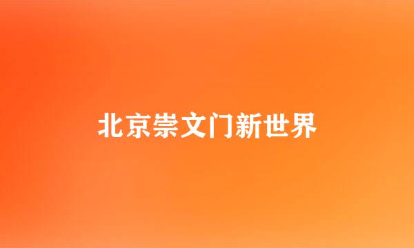 北京崇文门新世界