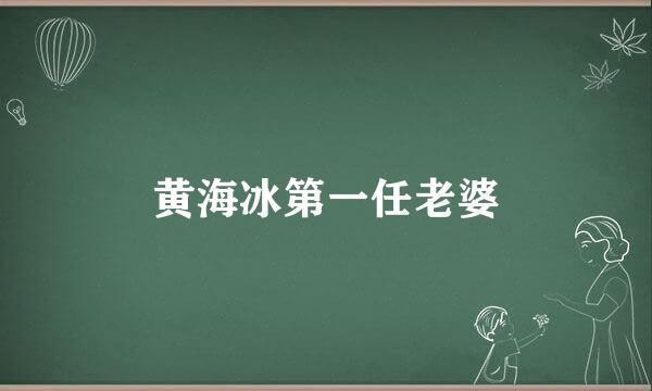 黄海冰第一任老婆