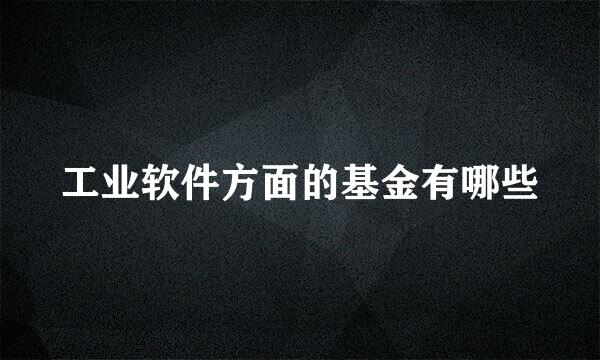 工业软件方面的基金有哪些