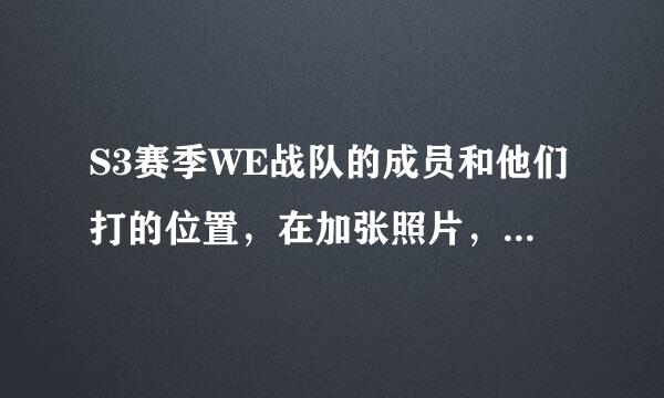 S3赛季WE战队的成员和他们打的位置，在加张照片，告诉我谁是谁