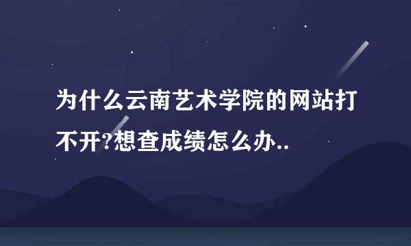 为什么云南艺术学院的网站打不开?想查成绩怎么办..