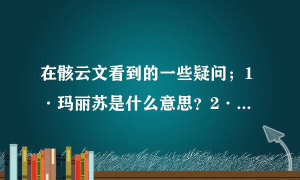 在骸云文看到的一些疑问；1·玛丽苏是什么意思？2·MB是什么意思？