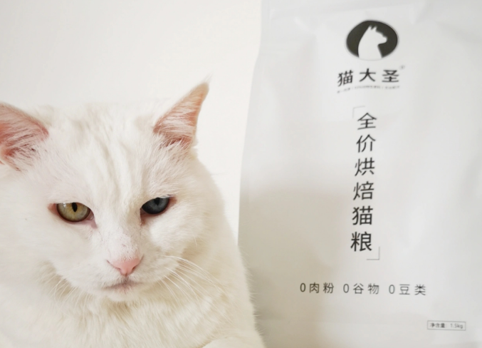 国产猫粮排名前十品牌