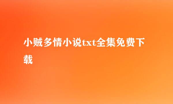 小贼多情小说txt全集免费下载