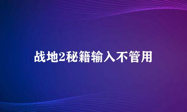 战地2秘籍输入不管用