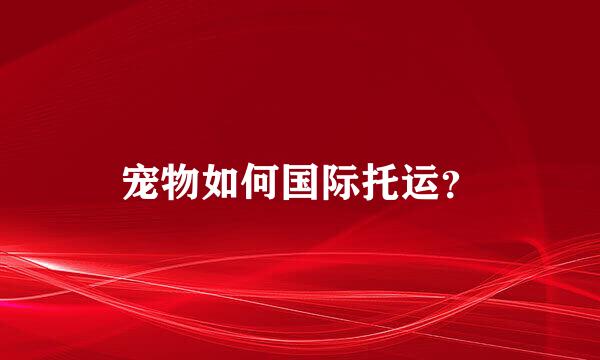 宠物如何国际托运？