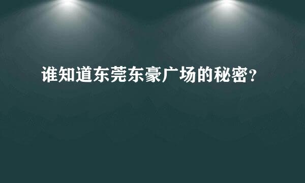 谁知道东莞东豪广场的秘密？