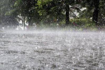 暴雨突袭上海堪比台风过境，对当地造成的损失有多严重？