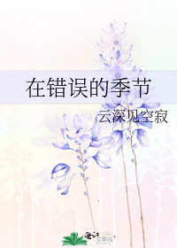 求以下小说txt.