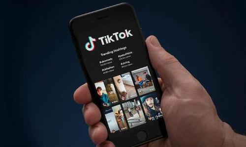 TikTok推特进行初步谈判，谈判结果怎么样？