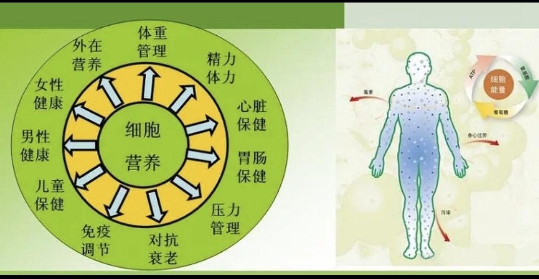 我国人均预期寿命提高到 77.93 岁，这一数字说明什么？