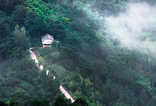 古诗山中的意思