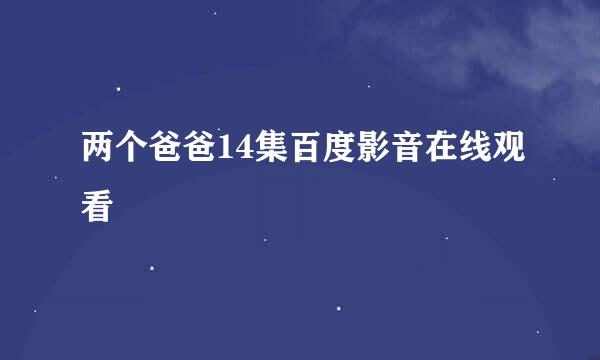 两个爸爸14集百度影音在线观看