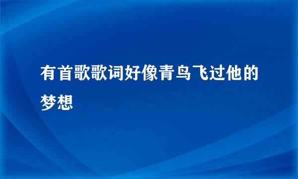 有首歌歌词好像青鸟飞过他的梦想