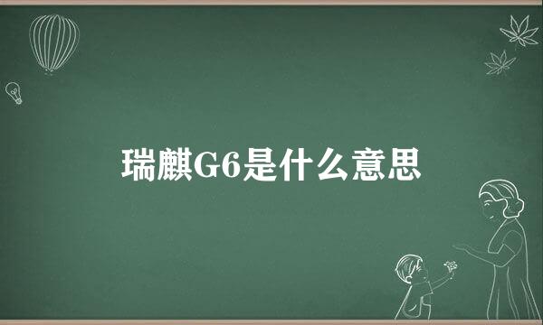 瑞麒G6是什么意思