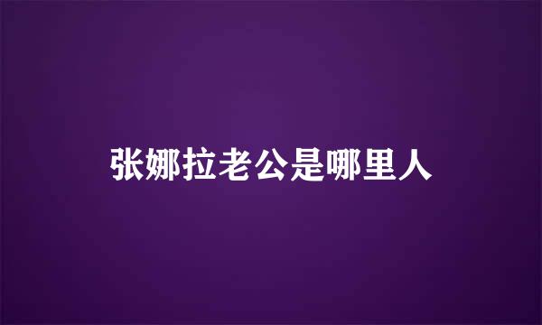 张娜拉老公是哪里人