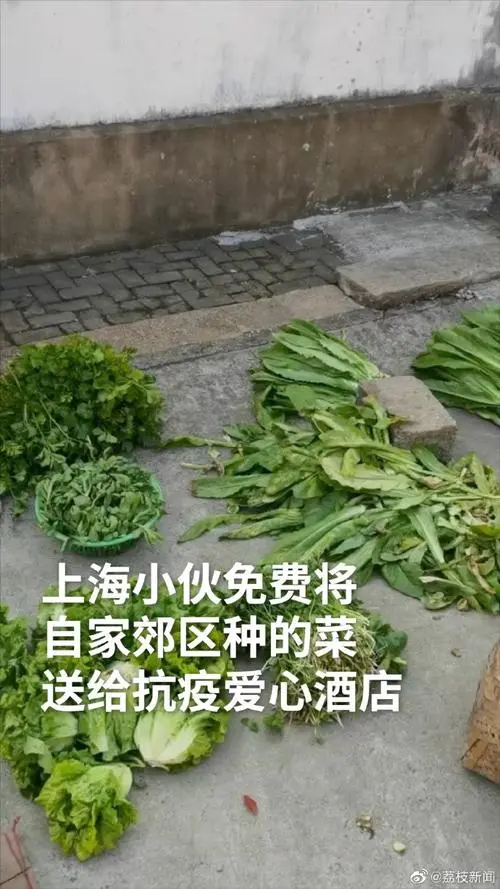 上海一小伙薅光菜地送抗疫酒店，他的举动有多暖心？