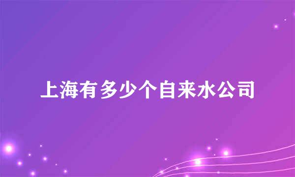 上海有多少个自来水公司