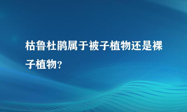 枯鲁杜鹃属于被子植物还是裸子植物？